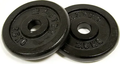 Produktbild von MASTER-Scheibe 2,5 kg Metall (Paar)