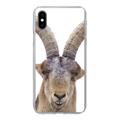 Produktbild von MuchoWow® Handyhülle Schutzhülle Hülle für iPhone Xs Steinbock - Tiere - Hoorn Silikon Softcase Handy Hülle - Handytasche