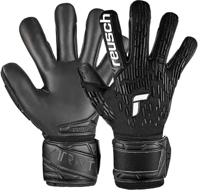 Image de REUSCH Attrakt Freegel Infinity BLACK BLACK 10,5