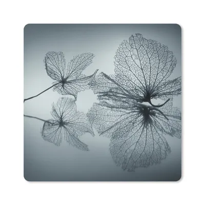 Produktbild von MuchoWow® Mauspad Mousepad Stilleben - Blätter - Schwarz - Weiß 20x20 cm - Mousepads - Maus Mat - Pad - Mausunterlage - Desk Mat - Bureauartikeln