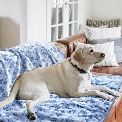 Produktbild von Famanu Hundedecke Weiche, waschbare Decke für Haustierbetten - 130 x 110 cm