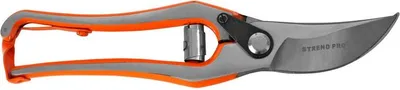 Immagine prodotto di Forbici Strend Pro P4744, da giardino, per uva e rami, per viticoltori, 225 mm