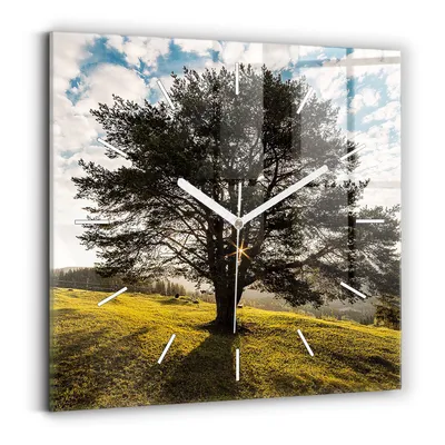 Produktbild von Wallfluent Wanduhr – Stilles Quarzuhrwerk - Uhr Dekoration Wohnzimmer Schlafzimmer Küche - Zifferblatt mit Striche - weiße Zeiger - 30x30 cm - Baum auf einem Hügel