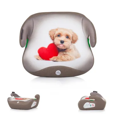 Produktbild von CHIPOLINO Uty i-Size Sitzerhö hung 125-150cm, Doggie