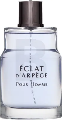 Produktbild von Lanvin Éclat d'Arpège Pour Homme Eau de Toilette für Herren 100 ml