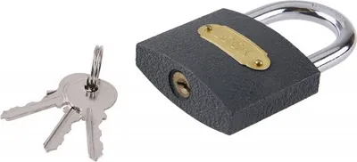 Zdjęcie produktu dla Kłódka Levior FE 60 mm