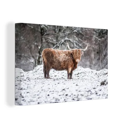 Zdjęcie produktu dla OneMillionCanvasses® - Obrazy na płótnie - 150x100 cm, Szkockie bydło górskie - Drzewo - Śnieg, Dekoracja ścienna z nadrukiem