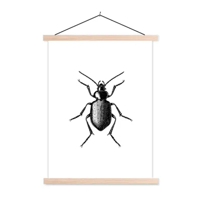 Produktbild von MuchoWow® Textilposter Käfer - Tiere - Vintage - Schwarz und weiß 40x53 cm mit holzfarbenen Rahmen - Schlafzimmer