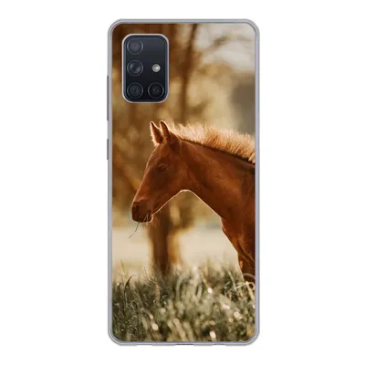Produktbild von MuchoWow® Handyhülle Schutzhülle Hülle für Samsung Galaxy A51 5G Pferd - Licht - Wiese Silikon Softcase Handy Hülle - Abbildung