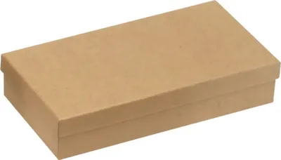 Produktbild von Pappdose rechteckig 19,5x10x4 cm
