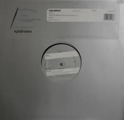 Image de Find the Groove [Vinyl Single]