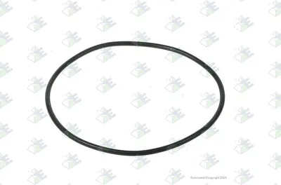 Produktbild von Euroricambi Dichtring 60531647 0,005kg