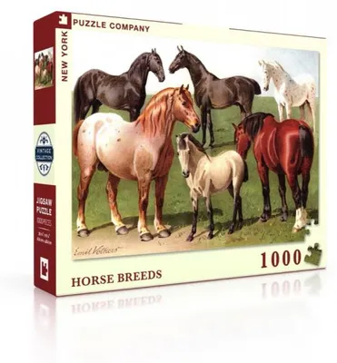 Productafbeelding van New York Puzzle Company Paardenrassen - 1000 stukjes