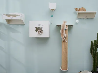 Produktbild von CatS Design Katzen Kletterwand Set xxl große Katzen stabil 5 Teilig Wandkratzbaum T3