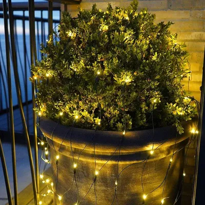 A potted plant decorated with string lights on a balcony at dusk.