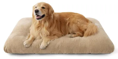 Produktbild von XXL Hundebett Waschbar 119x74x8cm Kamel