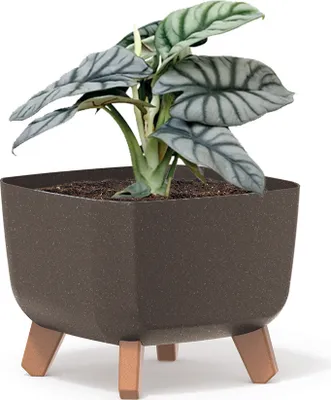 Produktbild von Prosperplast Blumentopf GRACIA SQUARE Eco Wood Kaffee 24 cm