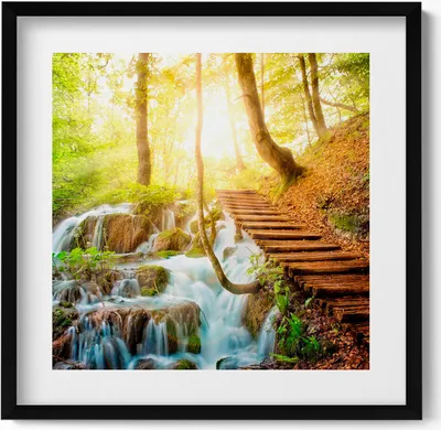 Produktbild von Bach und Stufen in einem Wald– Wandbild mit Rahmen – Gerahmtes Bild  – Wanddekoration – 50x50 cm –  Schwarz Rahmen