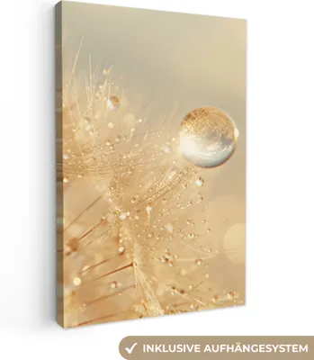 Obrázek produktu pro OneMillionCanvasses® - Obrazy na plátně - Pampeliška - Voda - Příroda - Rostliny - Moderní, nástěnné umění, nástěnné dekorace Obývací pokoj, 80x120cm