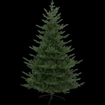 Produktbild von Weihnachtsbaum'Brekstad', 210x150cm, PE/PVC MIX