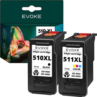 Two ink cartridges and their packaging are shown.
