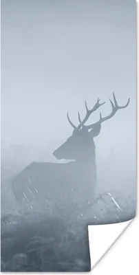 Produktbild von MuchoWow® Poster Hirsche - Nebel - Wald 60x120 cm - Wandschmuck