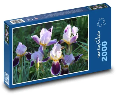 Obrázok produktu pre Puzzle 2000 Kosatce v záhrade - martinpuzzle