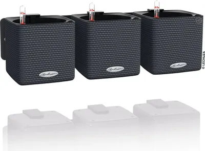 Obrázok produktu pre LECHUZA Green Wall Home Kit, Kvetináč, Nástenný, Polypropylén (PP), Tablet, Čierna, Štvorec, Vnútorný