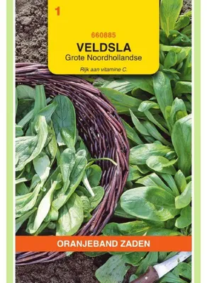 Obrázok produktu pre Oranjeband – Feldsalat (holandský širokolistý) – 1 balenie semien