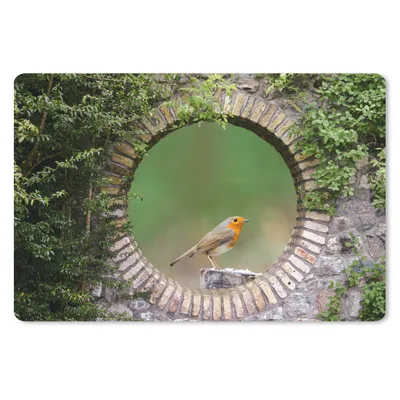 Produktbild von MuchoWow® Schreibtischunterlage Vogel - Durchblick - Rotkehlchen 60x40 cm - XXL Mauspad - Großes Mauspad
