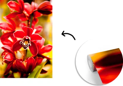 Produktbild von MuchoWow® Fototapete für Wohnzimmer oder Schlafzimmer Wandtapete Vinyl Motivtapete Rote Orchideen mit verblasstem Hintergrund - 175x260 cm - Vinyltapete
