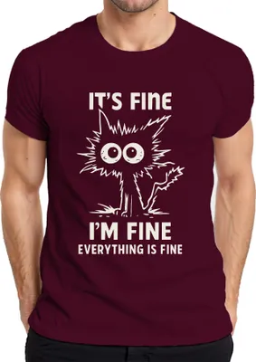 Immagine prodotto di Va bene, sto bene, tutto è a posto, lustige Katze sarkastisch Herren T-Shirt, Burgundy, XL