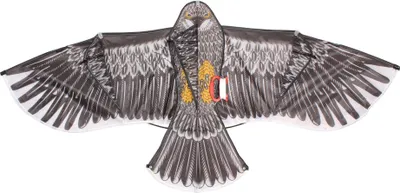 Obrázek produktu pro Multipack 2ks Eagle 14 létající drak