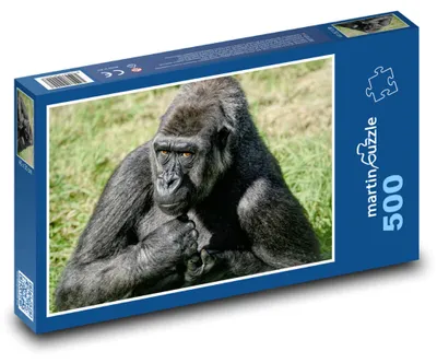 Produktbild von Puzzle 500 Gorilla in freier Wildbahn - martinpuzzle