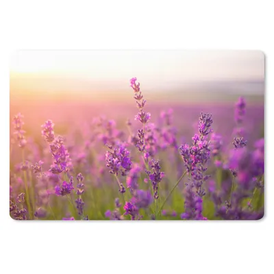 Produktbild von MuchoWow® Schreibtischunterlage Lavendel - Frühling - Lila 60x40 cm - XXL Mauspad - Großes Mauspad