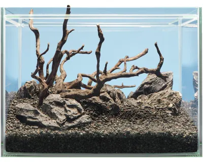 Productafbeelding van Sera Hardscape Shrimp stenen, wortels en bodemgrond voor garnalenaquarium 48|64|80 liter