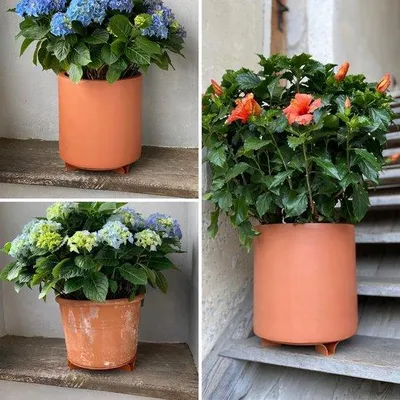 Productafbeelding van Set van 2 Terracotta Onderzetters voor Bloempotten - Rond, Diameter 16 cm