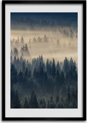 Produktbild von Bild - Bilderrahmen - Foto - 70 cm x 100 cm - MDF - Rahmen - Wandkunst - Nebel über dem Wald