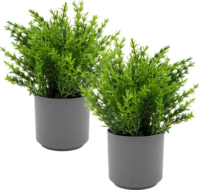 Immagine prodotto di 3.08 Composizione di piante verdi in vaso grigio - set di 2 / circa 24 cm ciascuna - Pianta decorativa artificiale