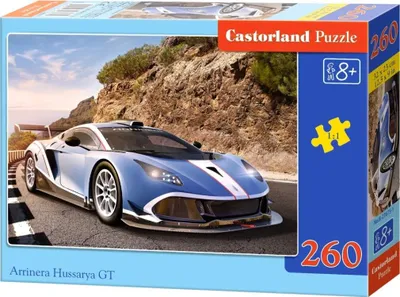 Obrázek produktu pro Puzzle, 260 dílků, Arrinera Hussarya GT