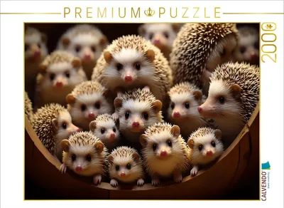 Produktbild von CALVENDO Puzzle Viele Igel auf einem Bild | 2000 Teile Lege-Größe 90x67cm Foto-Puzzle für glückliche Stunden
