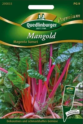 Produktbild von Mangold Magenta Sunset Gemüsesamen