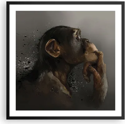 Produktbild von Gerahmtes Poster - Schwarzer Rahmen - Schimpanse Porträt Grafik - 60x60 cm - Wand Bild - Wanddeko - Wandbilder - Kunstposter - Wandposter - Bilderrahmen - Bilder - Kunstdruck - P2BAC60x60-4676