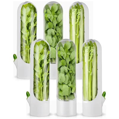Produktbild von 6er Frischhalteboxen Set für Kräuter & Gemüse | Frische bis zu 3 Wochen | 25x6,5 cm | Kühlschrank-Aufbewahrung