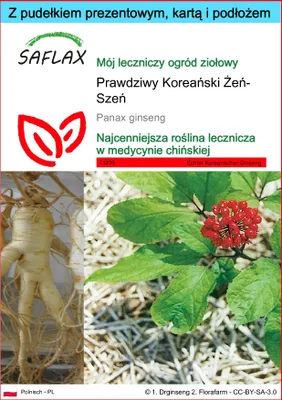 Zdjęcie produktu dla SAFLAX - Zestaw prezentowy - Prawdziwy Koreański Żeń-Szeń - 10 Nasiona - Z pudełkiem upominkowym, etykietą wysyłkową, kartą podarunkową i podłożem uprawowym - Panax ginseng