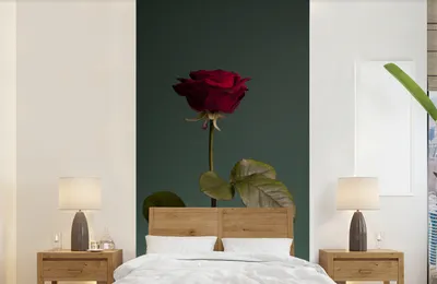Produktbild von MuchoWow® Fototapete für Wohnzimmer oder Schlafzimmer Wandtapete Vinyl Motivtapete Rosen - Rose - Rot - 120x240 cm - Hintergrundbild