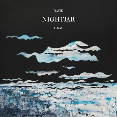 Zdjęcie produktu dla David Gray - Nightjar (2 LP)