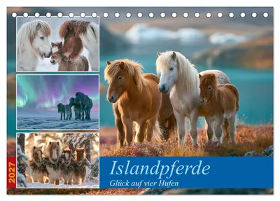 Produktbild von Islandpferde (Tischkalender 2027 DIN A5 quer), CALVENDO Monatskalender