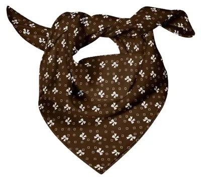 Productafbeelding van Pure Zijde Sjaal met Print voor Dames