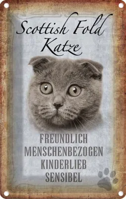 Produktbild von vianmo Blechschild 18x12 cm Scottish Fold Katze Tier Haustier